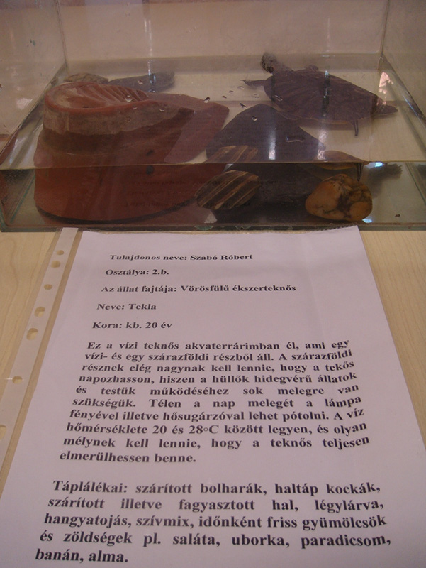 Pict 021