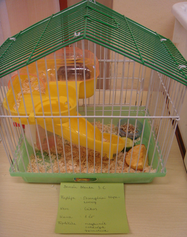 Pict 026