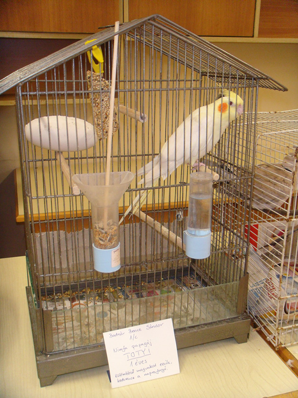 Pict 075
