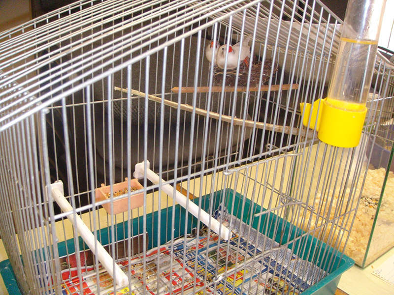 Pict 033