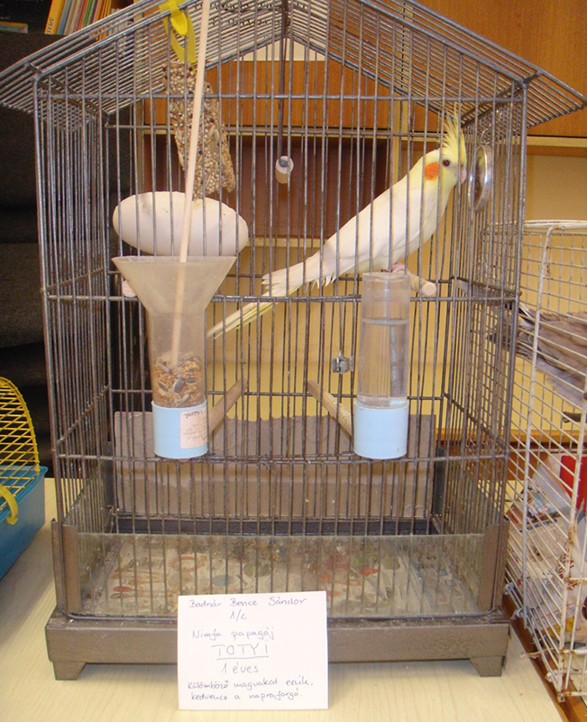 Pict 036