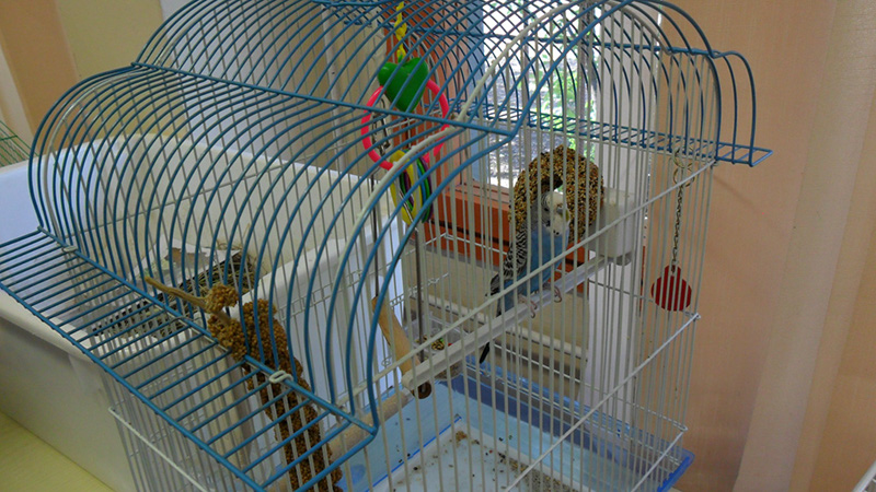 Pict 006