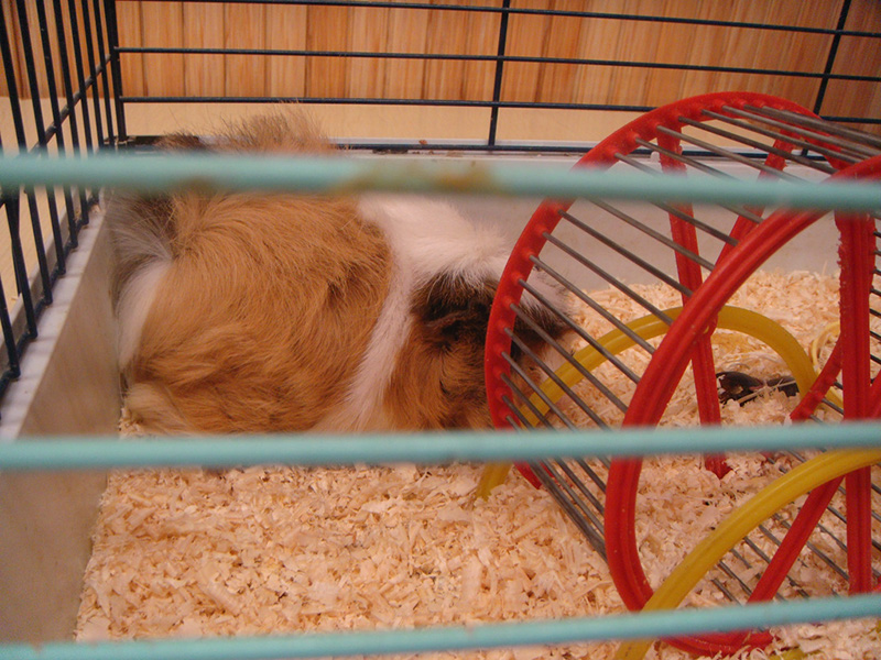 Pict 097