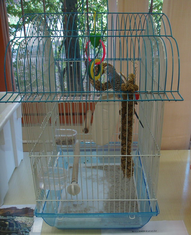 Pict 024