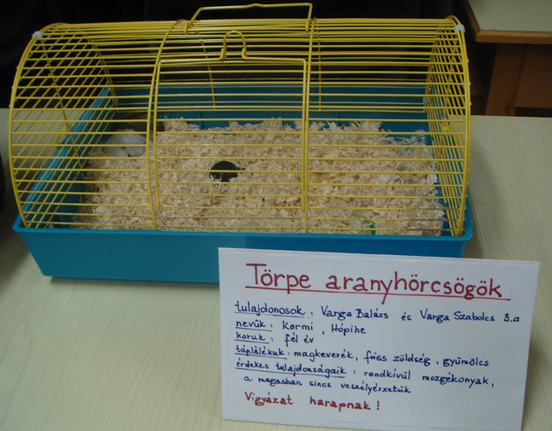 Pict 103