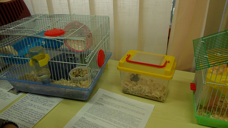 Pict 007