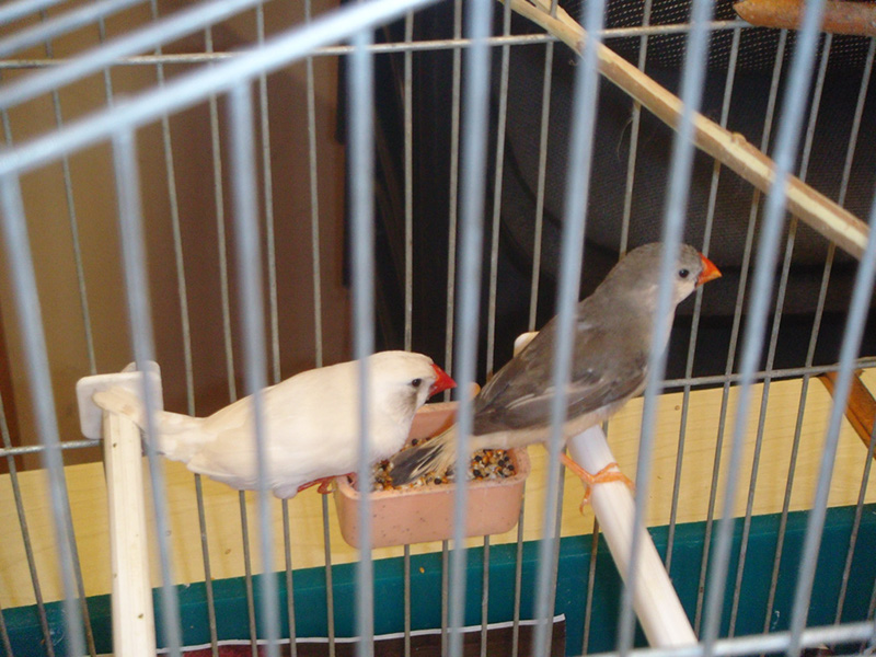 Pict 060