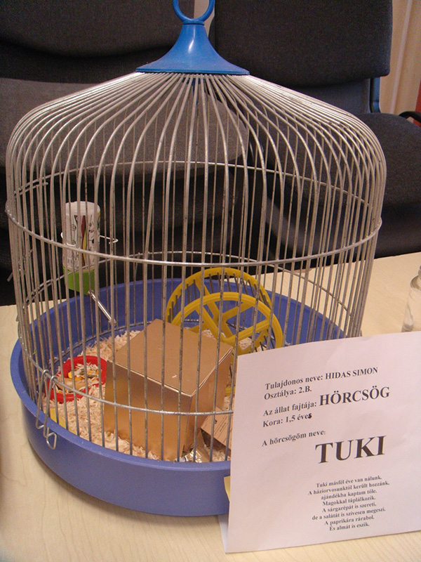 Pict 031
