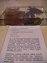 Pict 021