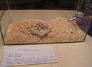 Pict 032