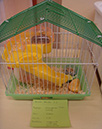 Pict 026