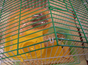 Pict 057