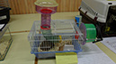 Pict 012