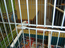 Pict 098