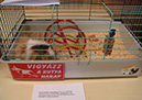Pict 038