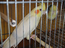 Pict 062