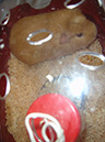 Pict 064