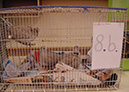 Pict 035