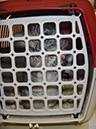 Pict 079