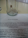 Pict 058
