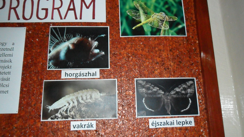 Pict 002