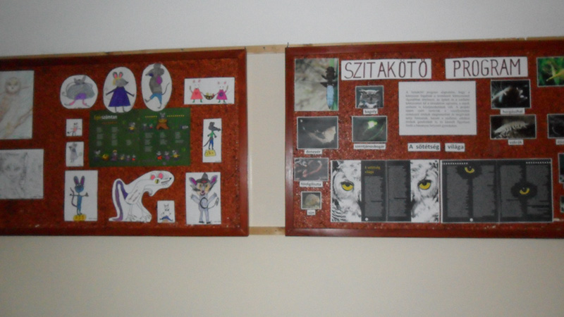 Pict 007