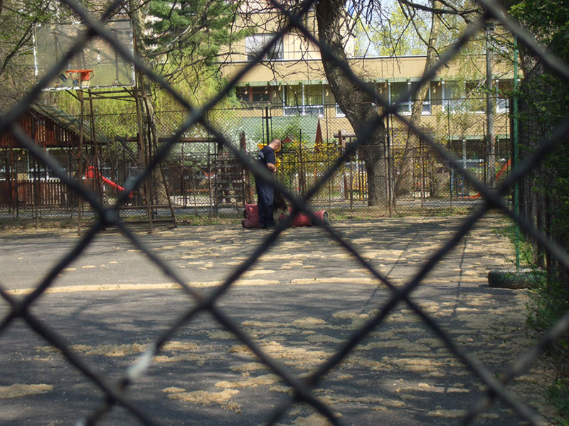 Pict 105