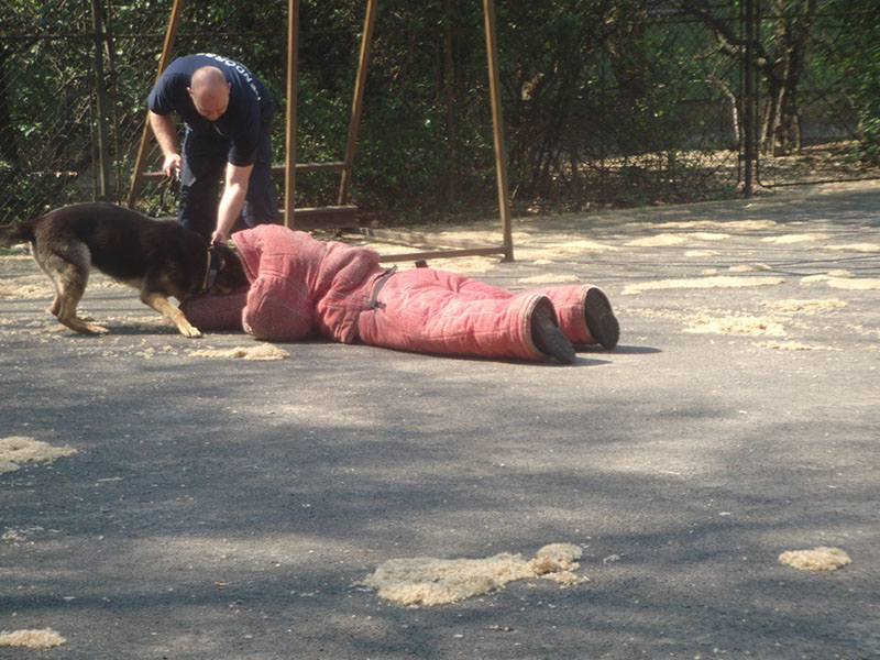 Pict 128