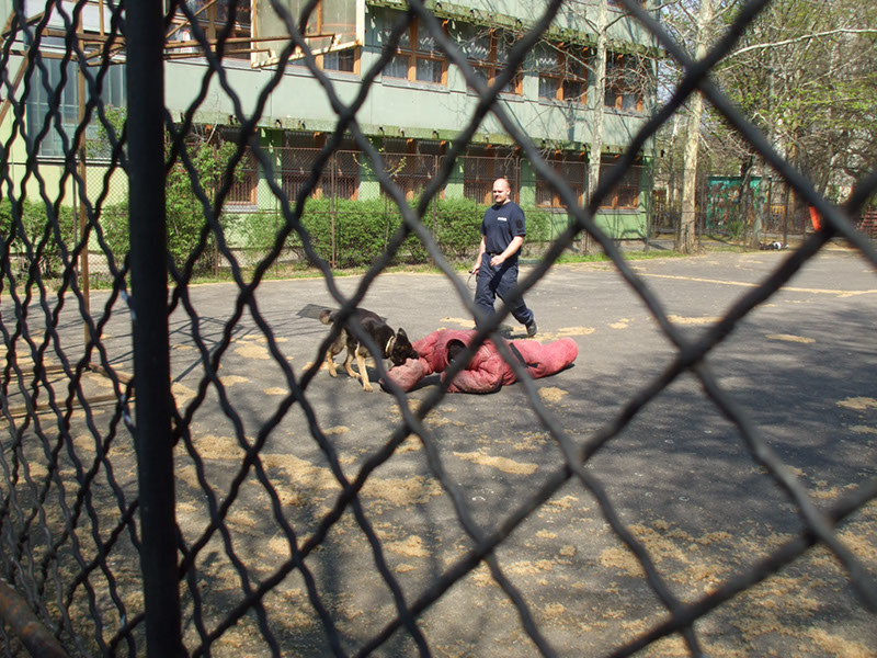 Pict 109