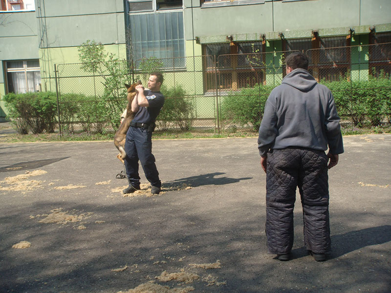 Pict 138