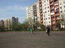 Pict 065