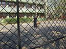 Pict 093