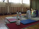 Pict 081