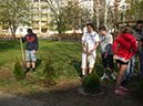 Pict 050