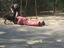 Pict 128
