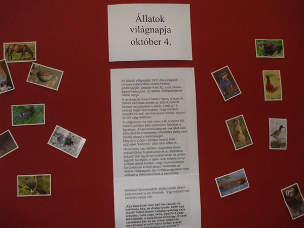 Állatok világnapja 2 011