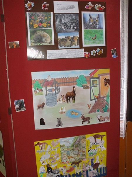 Állatok világnapja 2 005
