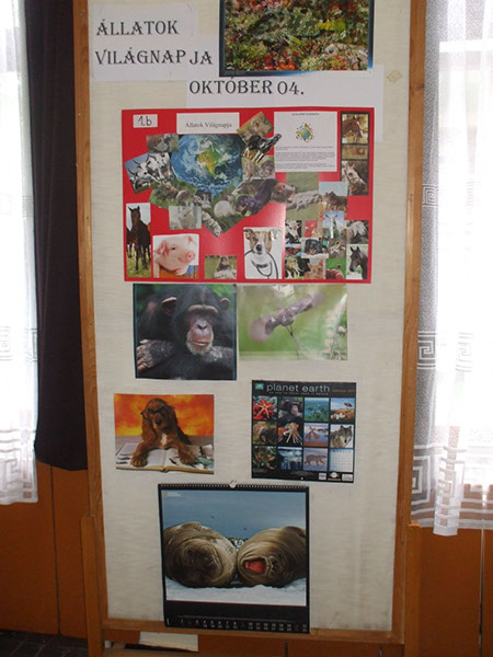 Állatok világnapja 2 007