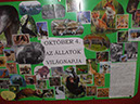 Állatok világnapja 2 009