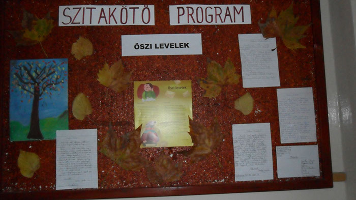 Szitakötő őszi 006