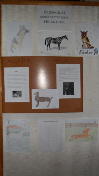 Állatok világnapja 2015 011