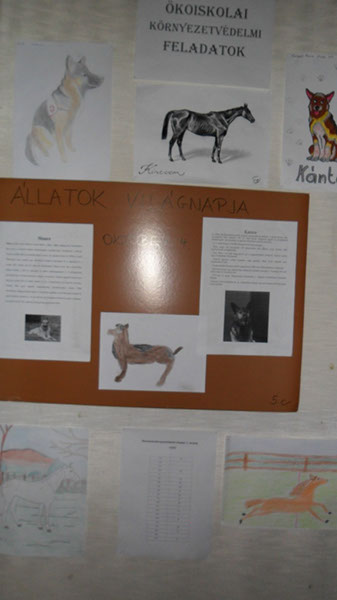 Állatok világnapja 2015 002