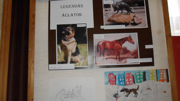 Állatok világnapja 2015 003