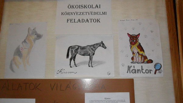 Állatok világnapja 2015 005