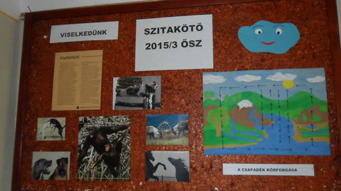 Szitakötő 31 001