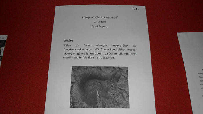 %_tempFileNameSAM_0356%