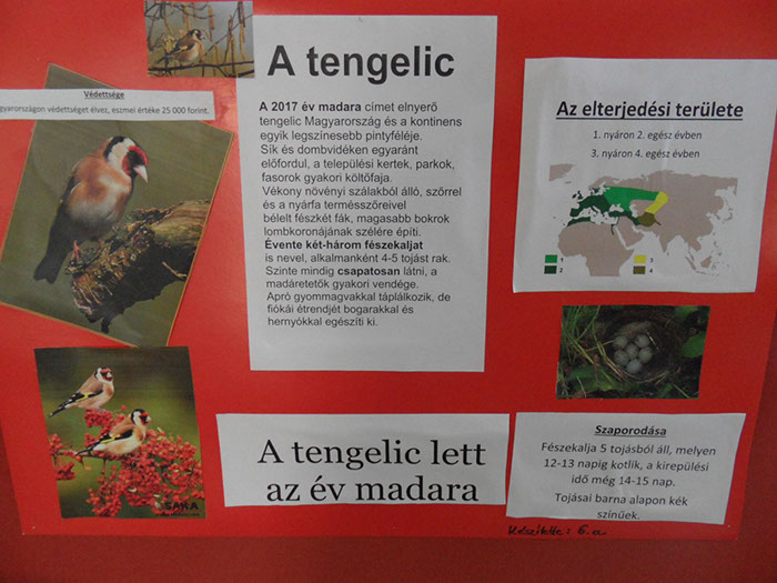 %_tempFileNameSAM_1091%
