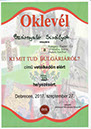 13 - oklevél