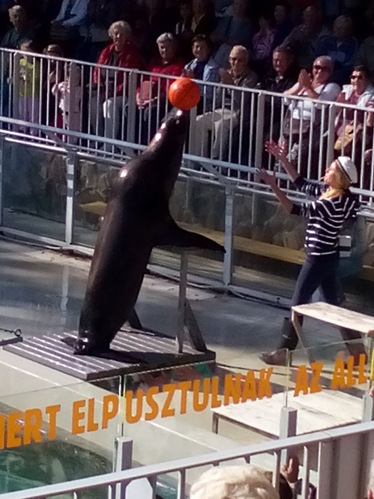 %_tempFileNameSAM_8495%