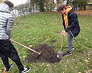 %_tempFileName20201103_102658%